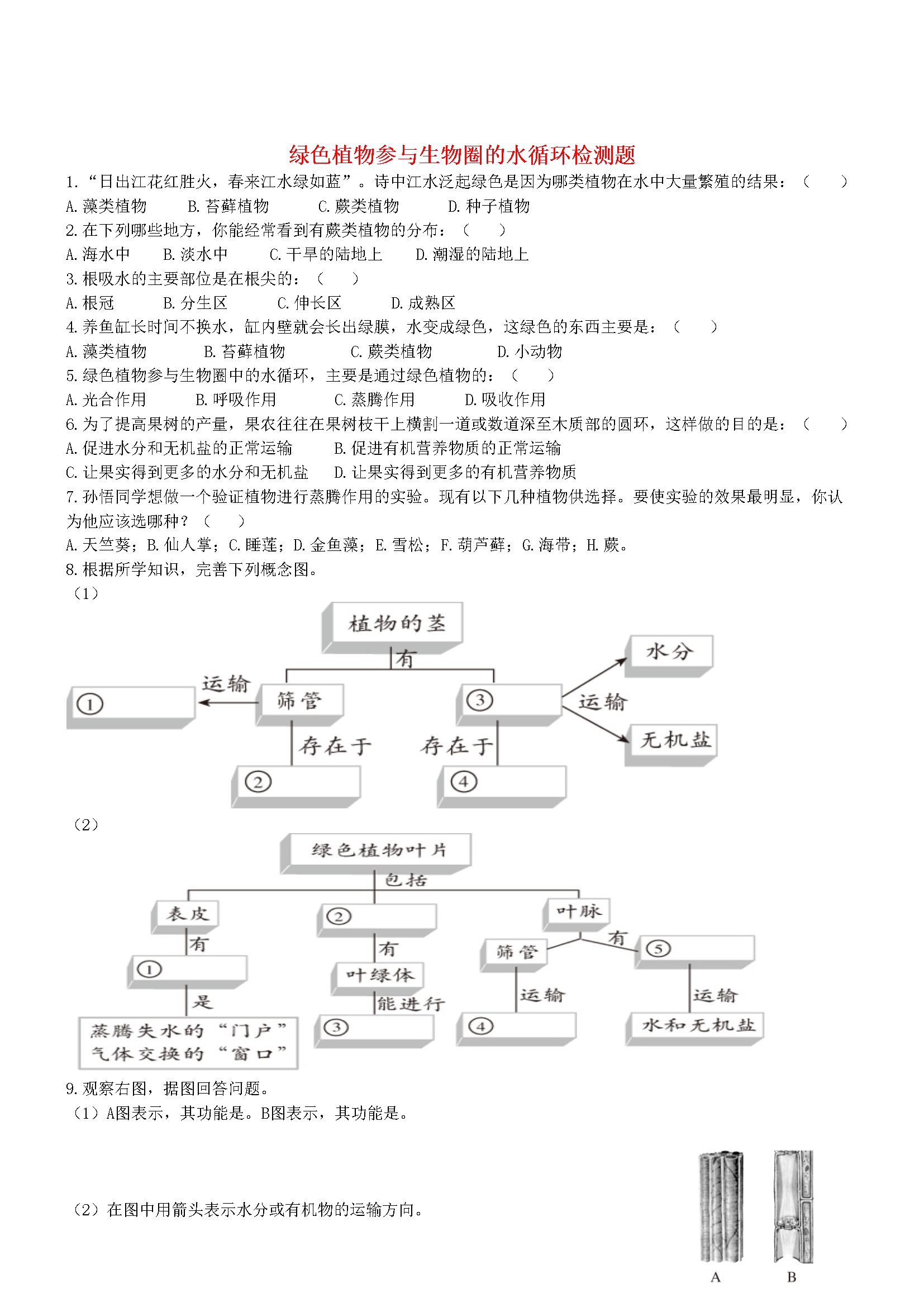 3.3 绿色植物参与生物圈的水循环 同步练习