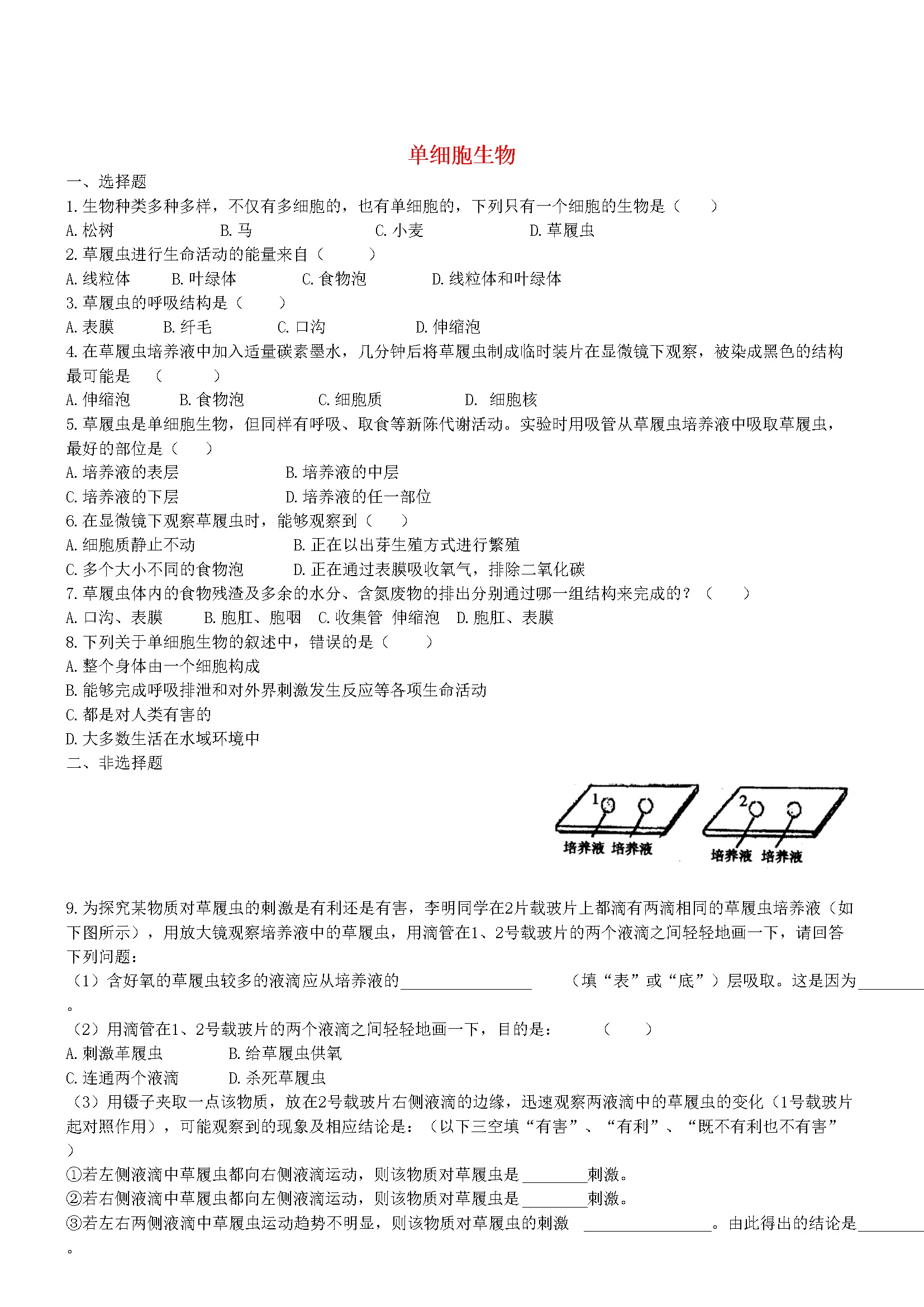 2.2.4 单细胞生物双基双测