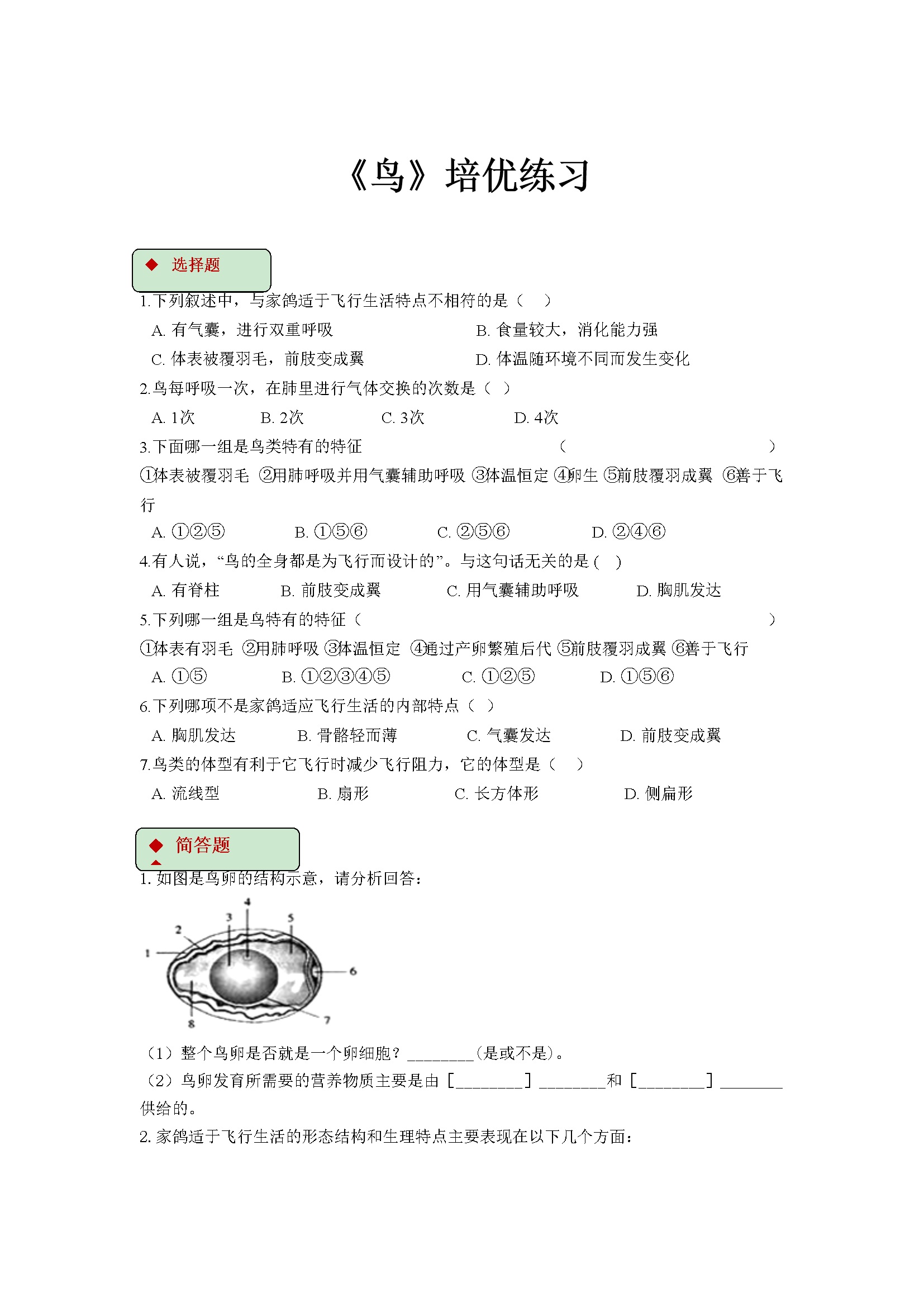 【培优练习】《鸟》