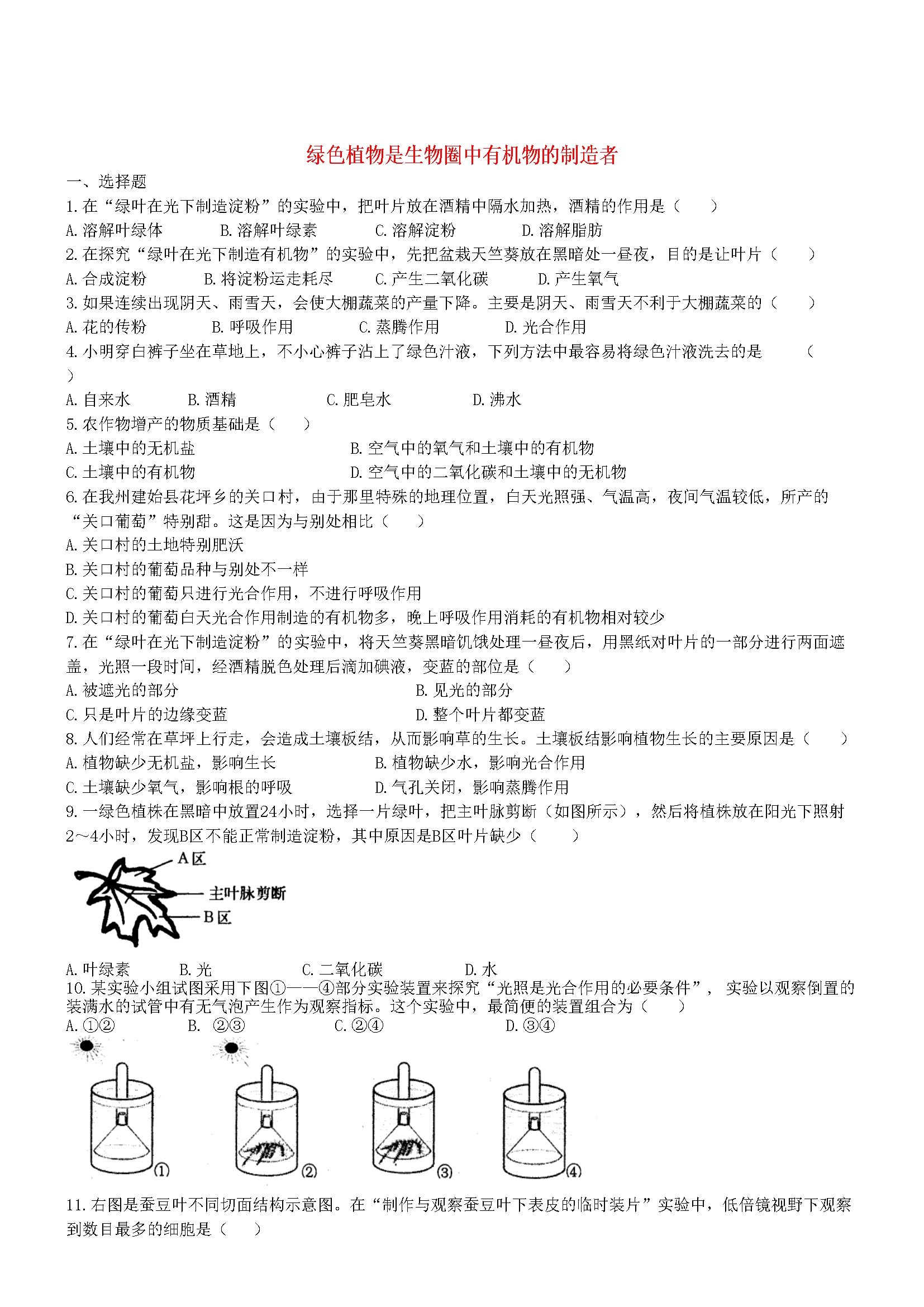 3.4 绿色植物是生物圈中有机物的制造者 同步练习