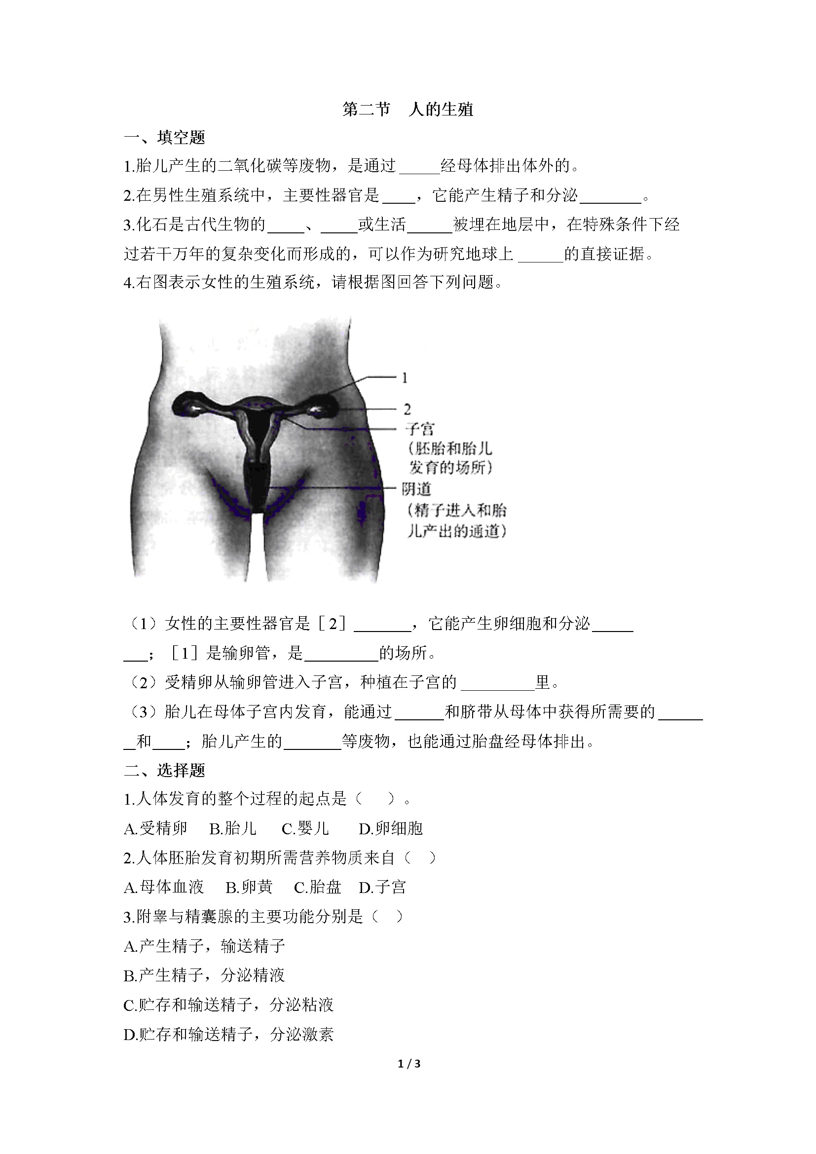 《人的生殖》同步练习