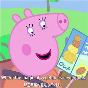 小猪佩奇 中英双字幕英语视频 第五季