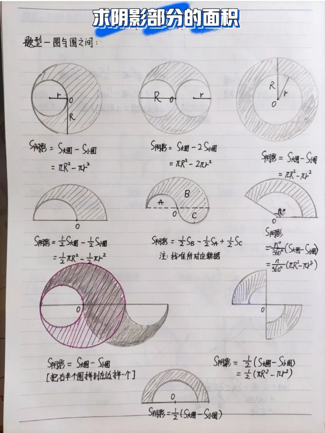 六年级数学专题训练之图形
